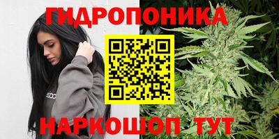 ALPHA PVP Кандалакша